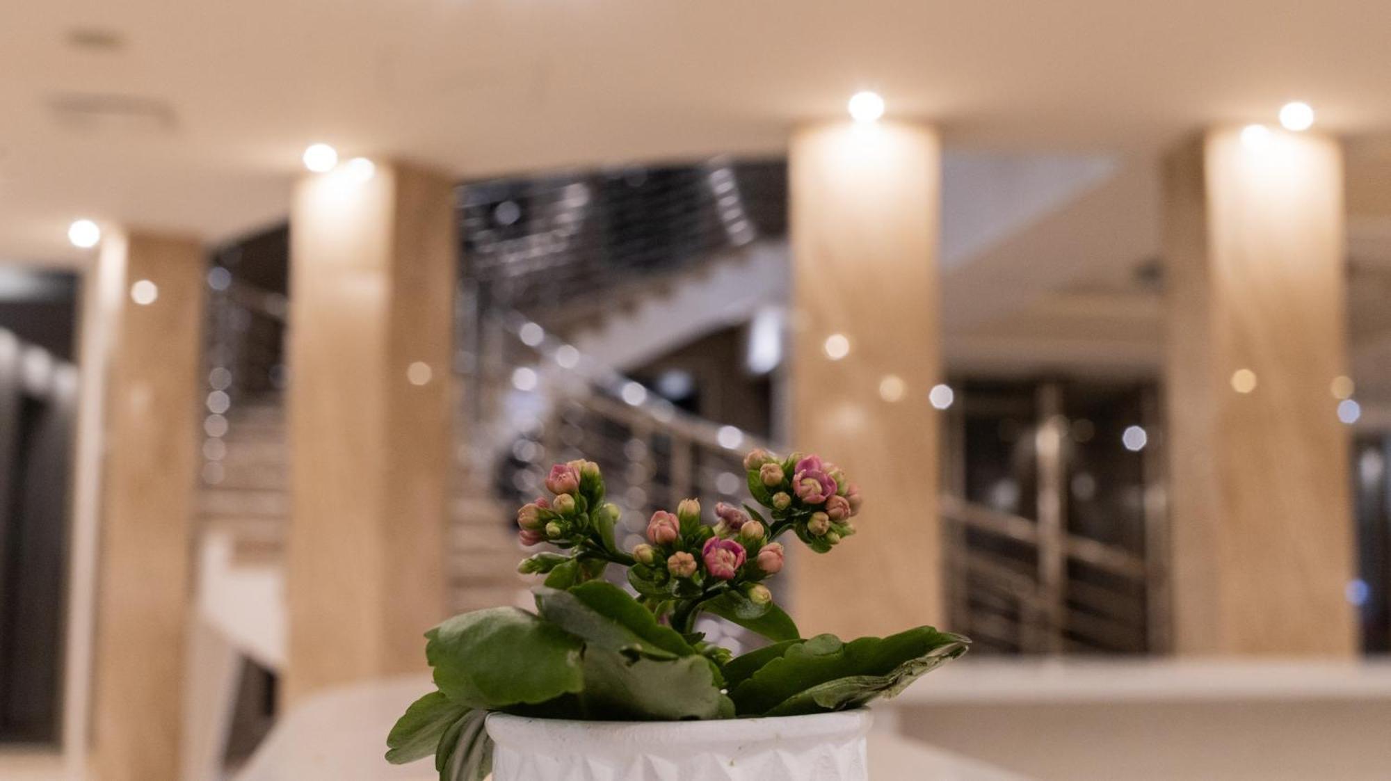 Hotel Donna Crescenza Locorotondo Kültér fotó