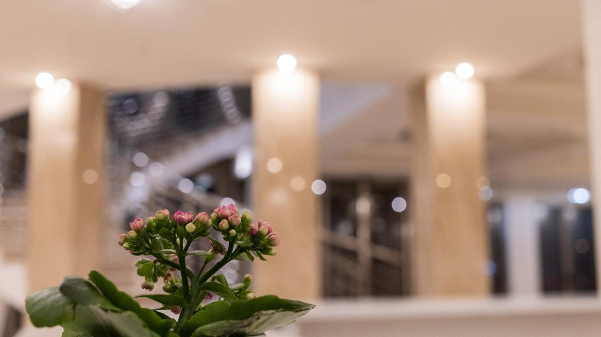 Hotel Donna Crescenza Locorotondo Kültér fotó